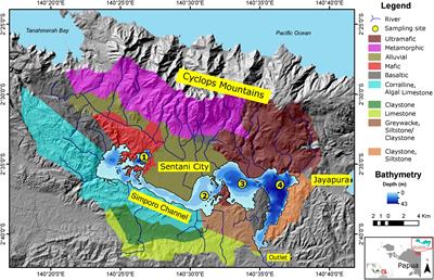 Geochemical Characteristics of Sediment in Tropical Lake Sentani, Indonesia, Are Influenced by Spatial Differences in Catchment Geology and Water Column Stratification